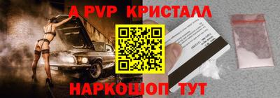 СК Волгодонск